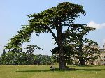 2006-0608-1232-33.jpg
